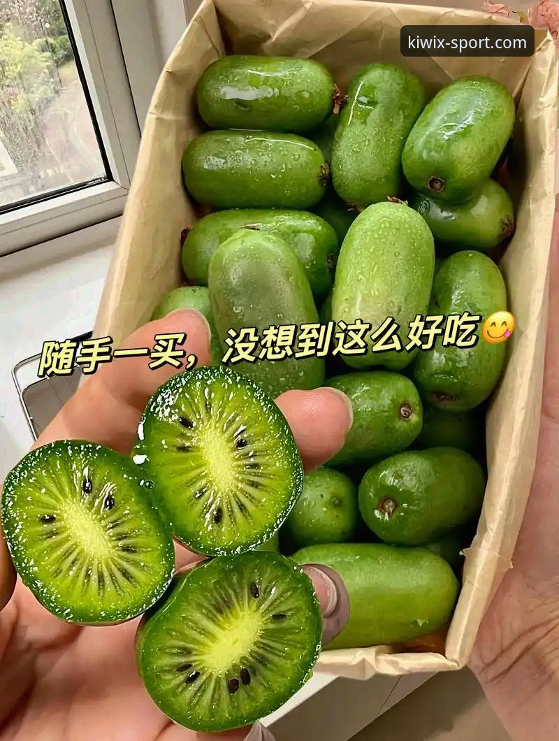 奇异果体育最新版本攻略：从下载到安全登录的完整使用指南
