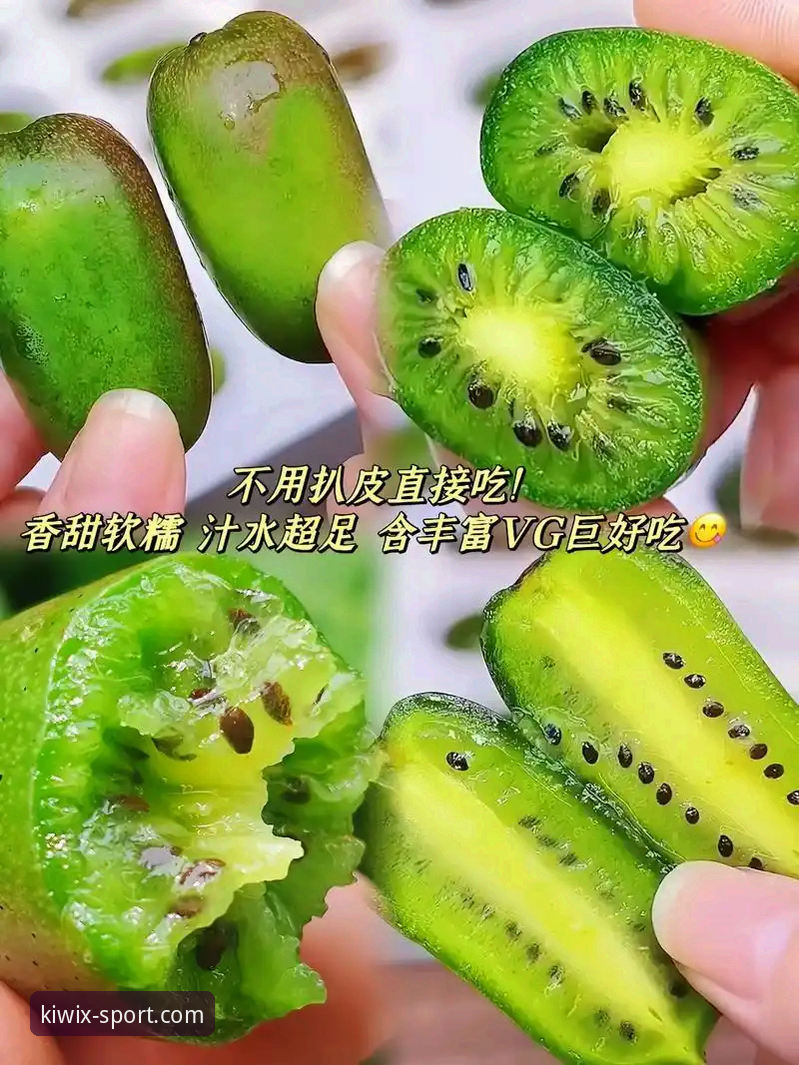 奇异果体育平台2026最新版本的5大核心升级点与使用全攻略
