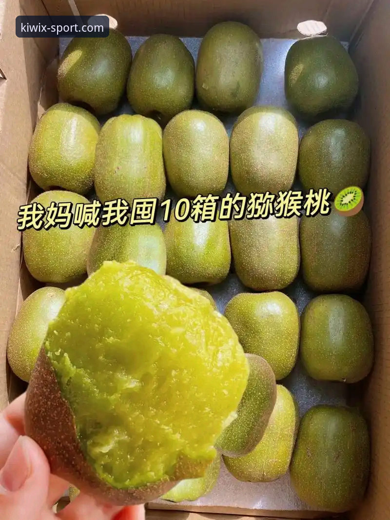 新手必看！奇异果体育好不好用使用指南——从下载到安全登录的完整心得