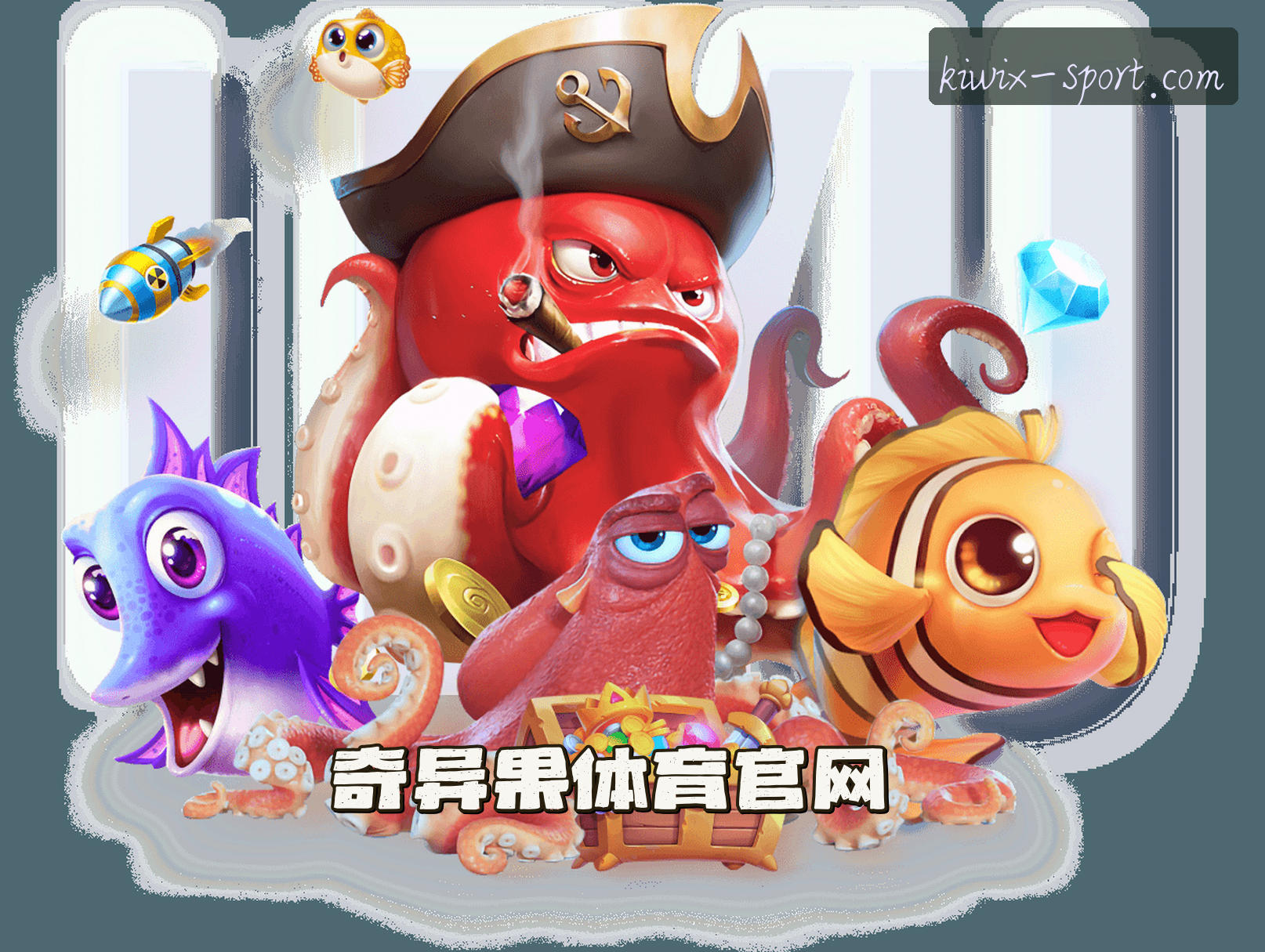 关于我们 - QYGTY | 奇异果体育·官方网站